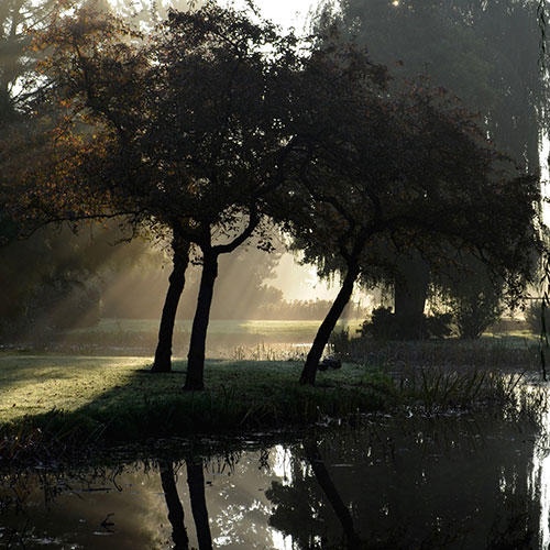 deel van het wilhelminapark