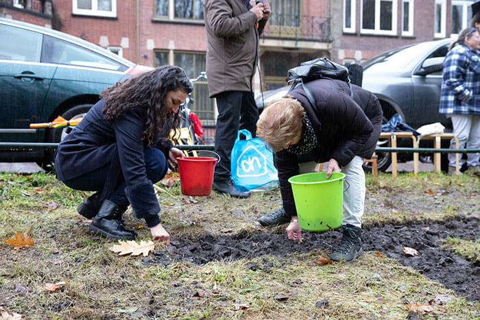 de bollen worden geplant om in de lente het woord trui te vormen